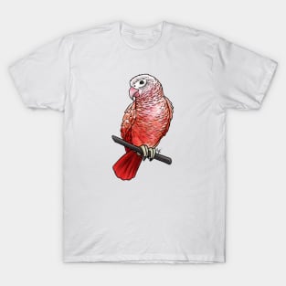 Bird - African Grey Parrot - Pink T-Shirt